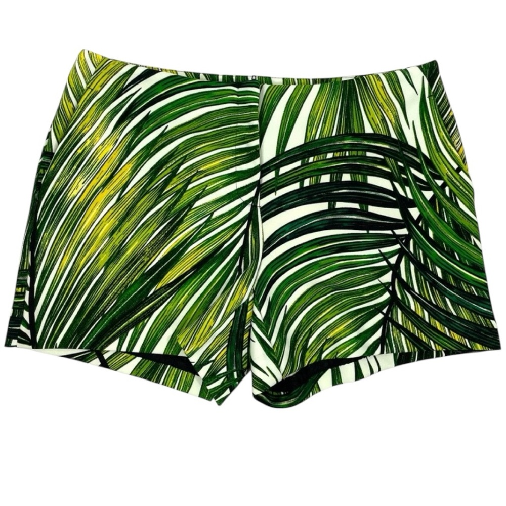 Green Paradise Palm Women's Stretch Shorts